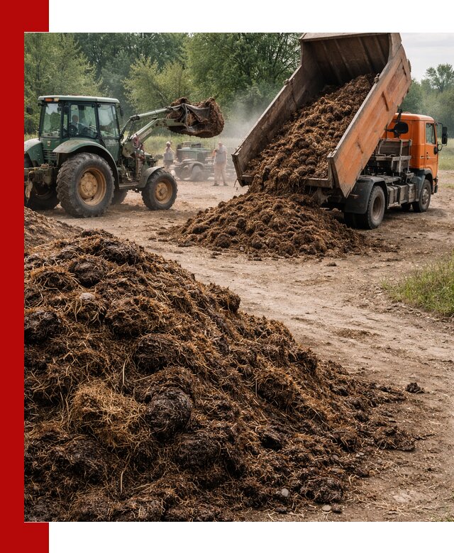 Доставка навоза самосвалами в Евпатории для сельхозпотребностей