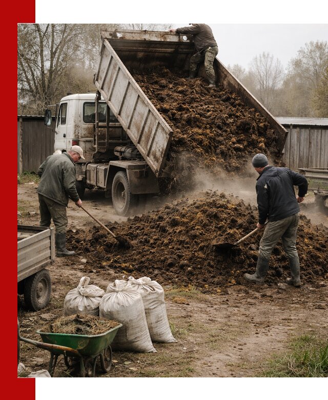 Доставка коровьего навоза самосвалом в Евпатории